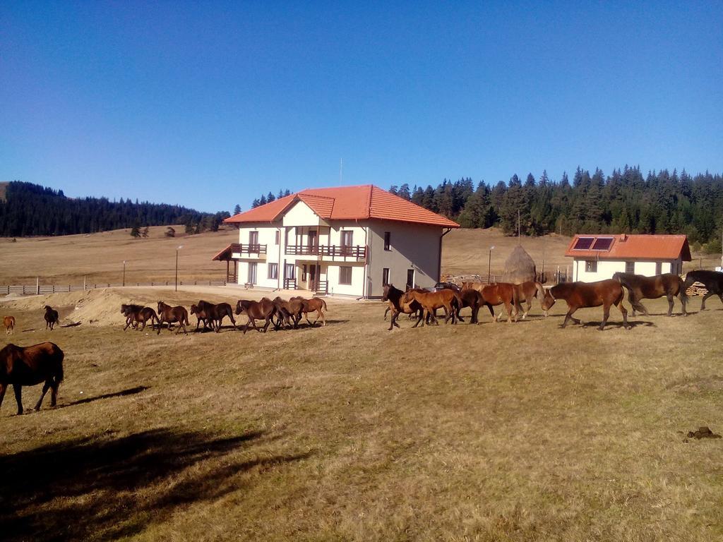 Pensiunea Catalina Moldova Sulita Exterior foto